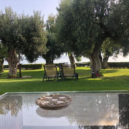 Villa Anemi Nea Skioni Ngoại thất bức ảnh