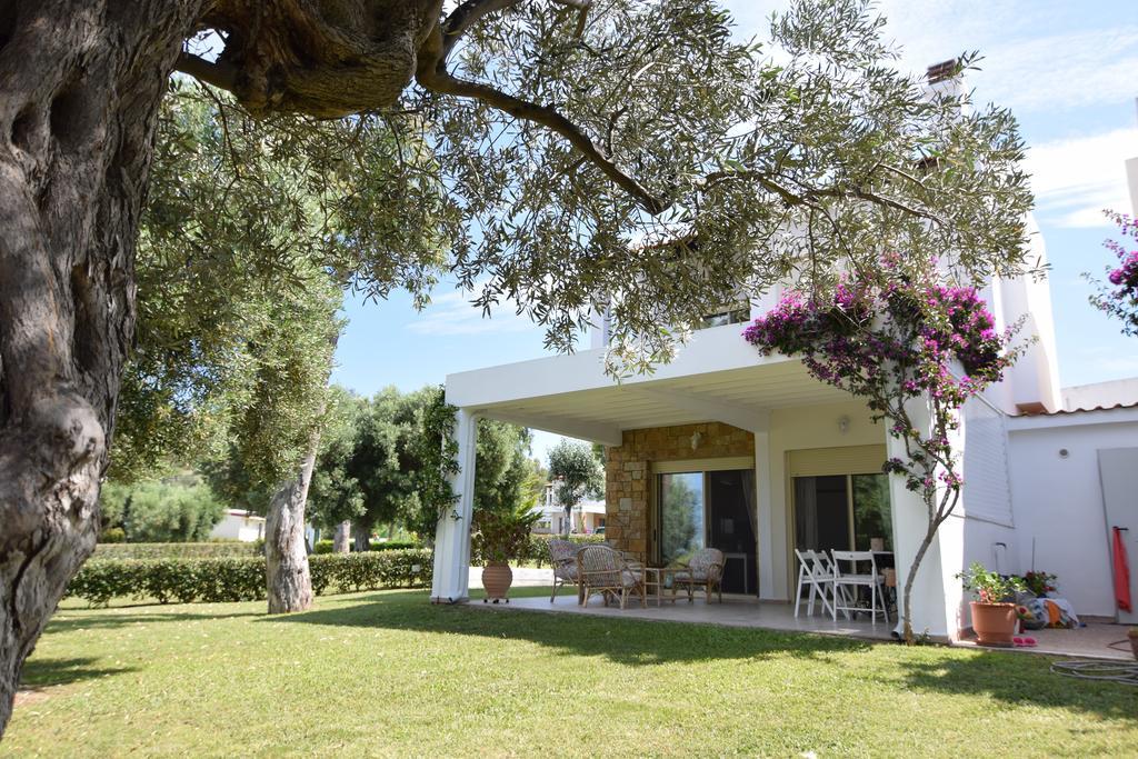 Villa Anemi Nea Skioni Ngoại thất bức ảnh
